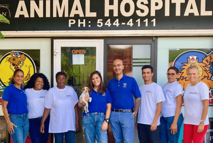 Animal-Hospital-A.png
